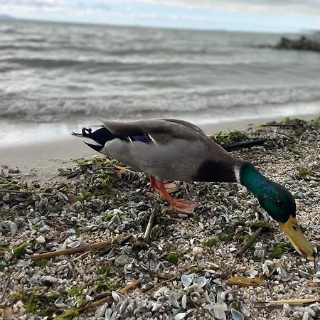 Дом отдыха Csakakali