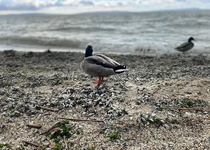 Holiday home Csakakali