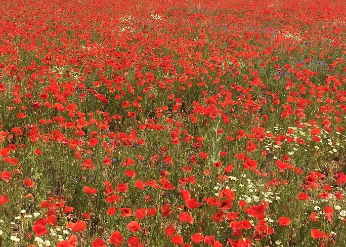 Csakakali Holiday home *