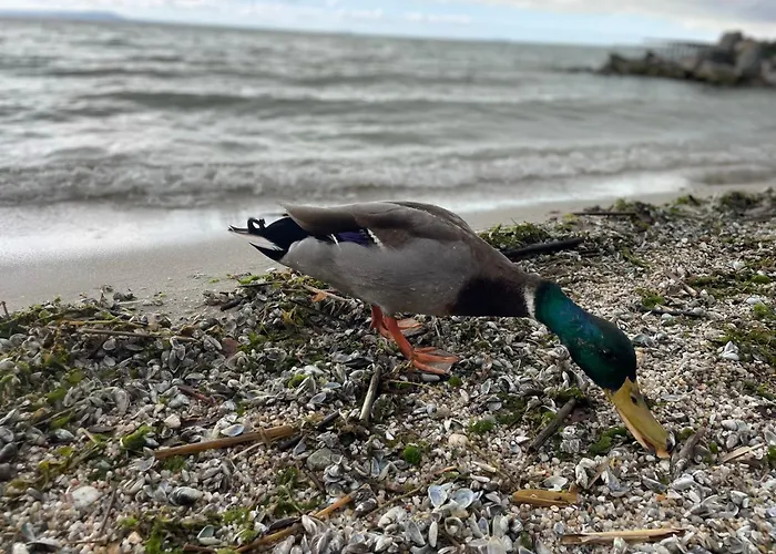 Holiday home Csakakali